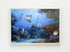 light wood framed original painting great barrier reef coral trout wall art print